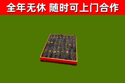 云和回收海参